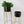 Contemporary Indoor Black Metal Pots Set with Golden Stand for Fresh or Faux Plants Living Room Office Decor, Gifts-Sona Casa
