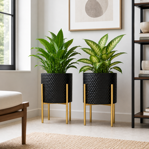 Set of 2 Large Black Metal Planters with Gold Legs, Modern Indoor Outdoor Decorative Pots by Sona Casa