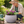 Modern Slate Dark Gray Planter, 34cm Versatile Indoor Outdoor Round Pot, Home Garden Decor by Sona Casa