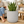 White Pot for Plants 42 CM, Planter Indoor Outdoor Ornament Home Garden Porch Living Room Decor by Sona Casa