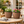 2 Brown Planter Pots by Sona Casa