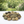Natural Polished River Rocks, 500g Pack, 1–2 cm Decorative Pebbles Stones for Aquarium Plant Pot, Home Garden Decor by Sona Casa