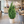 Artificial Tree Lemon Cypress, 120 cm Cedar Tree in Black Pot Stable Base Indoor Home, Office Patio, Living Room Decor by Sona Casa