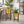 Pair of Large Metal Planter Pots, 24 and 22 inch Tall Indoor Planters with Sturdy Stands, Home Office Decor by Sona Casa