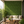 Green Artificial Grass Wall Panels with White Baby’s Breath Flowers, 40x60cm Decorative Floral Wall Art for Home Decor by