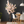 Large Nearly Natural Fake Light Peach Sichuan Cherry Blossom, 5 ft Lifelike Tall Artificial Tree, Indoor Decor for Living Room, Office, Patio-Sona Casa