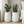 Set of 2 Modern Tall Indoor Self Watering Decorative Planter, 19 in Contemporary Flower Pot Home, Office Decoration, Gift-Sona Casa
