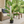 Large Artificial Monstera Plant, 120cm Nealy Natural with Cement Base, Indoor, Patio, Porch, Home Office Decor, Gifts-Sona Casa