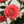 Artificial Flowering Tree, 5 ft Tall Fake Pink Camellia Tree Plant in Cement Base, Indoor Decor for Home or Office, Gift-Sona Casa