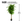 Artificial Ficus Tree, Lifelike Leaves Trunk 6 ft Tall Fake Ficus Leaves Plant with Black Cement Base for Indoor Decor-Sona Casa