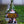 Green Leaf Hat Gnome Solar LED Light Statue, Funny Polyresin Garden Decor for Outdoor Spaces by Sona Casa