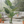 Large Artificial Monstera Plant, 120cm Nealy Natural with Cement Base, Indoor, Patio, Porch, Home Office Decor, Gifts-Sona Casa