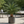 Artificial Sago Palm Plant, Indoor Home Office Decor, Realistic 83 cm Tropical Faux Cycas Plant with Stable Base-Sona Casa
