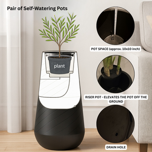 Set of 2 Tall Black Self Watering Indoor Planters, Contemporary Modern Decorative Pots, 33 Inch Riser for Home Office Garden-Sona Casa