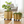 Golden Metal Foil Planter Set with Drain Plug, Indoor Plant Pot with Wheels for Fresh or Faux Plants Home Decor Gift-Sona Casa
