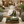 Seated Prayer Buddha Statue, 11