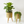 Rustic Gold Foil Metal Plant Pots Set with Stand for Fresh or Artificial Plants, Indoor Home Office Decor, Gifts-Sona Casa