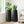 Set of 2 Tall Black Self Watering Indoor Planters, Contemporary Modern Decorative Pots, 33 Inch Riser for Home Office Garden-Sona Casa