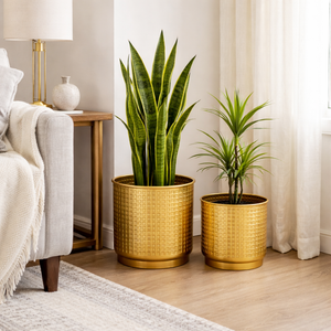 Golden Foil Pots, Pair of Decorative Planters Large and Small 25 cm, 22 cm Set of 2, Living Room, Office Decor - Accent Collection