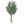 Large Nearly Natural Olive Tree with Black Olives, 200 cm Artificial Plant for Patio, Front Porch, Living Room, Indoor Outdoor Ornament, Home Decor by Sona Casa
